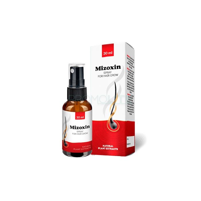 Mizoxin ◆ Produkt zur Haarwiederherstellung ◆ in Mlada Boleslav