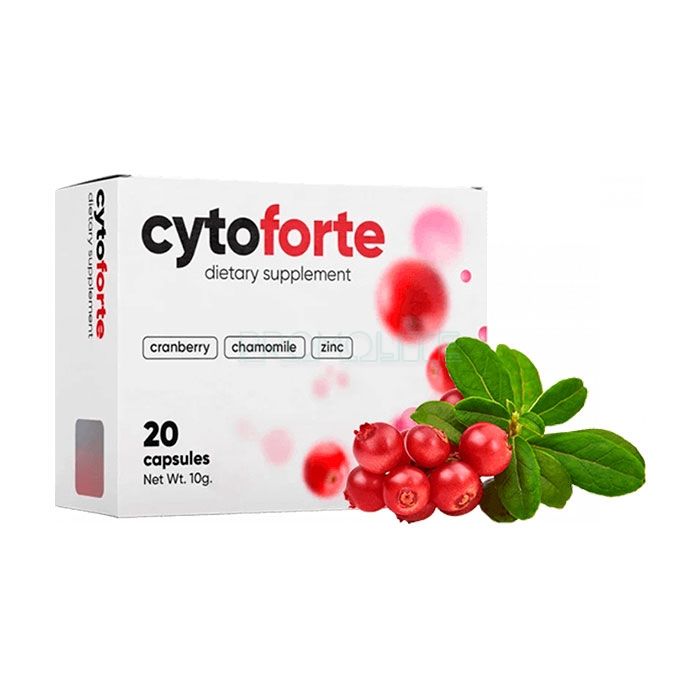 Cytoforte ◆ средство от цистита ◆ в Сантьяго-де-Компостеле