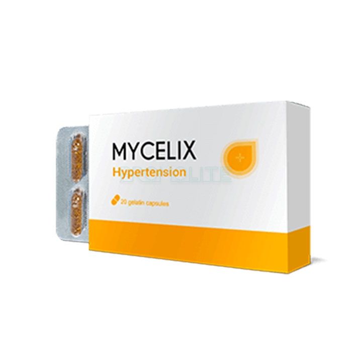 Mycelix ◆ remedy for hypertension ◆ in Trento